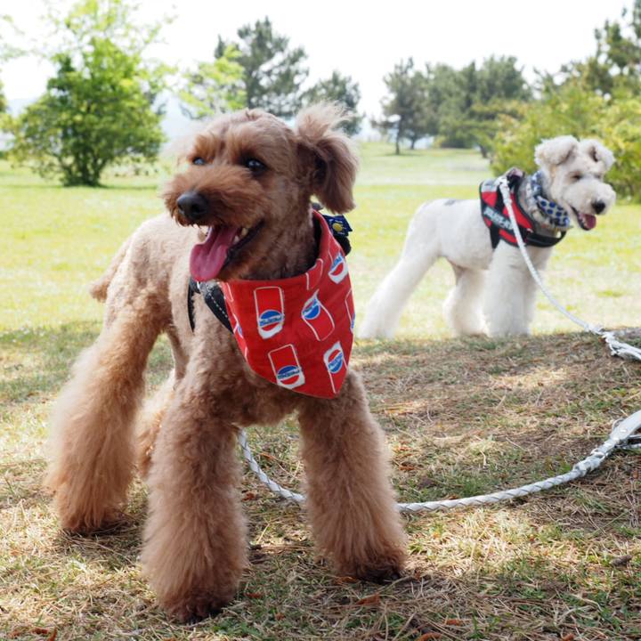 0f1921bc 2ff5 4cb5 a2d1 8730804ad41c 1557663636607