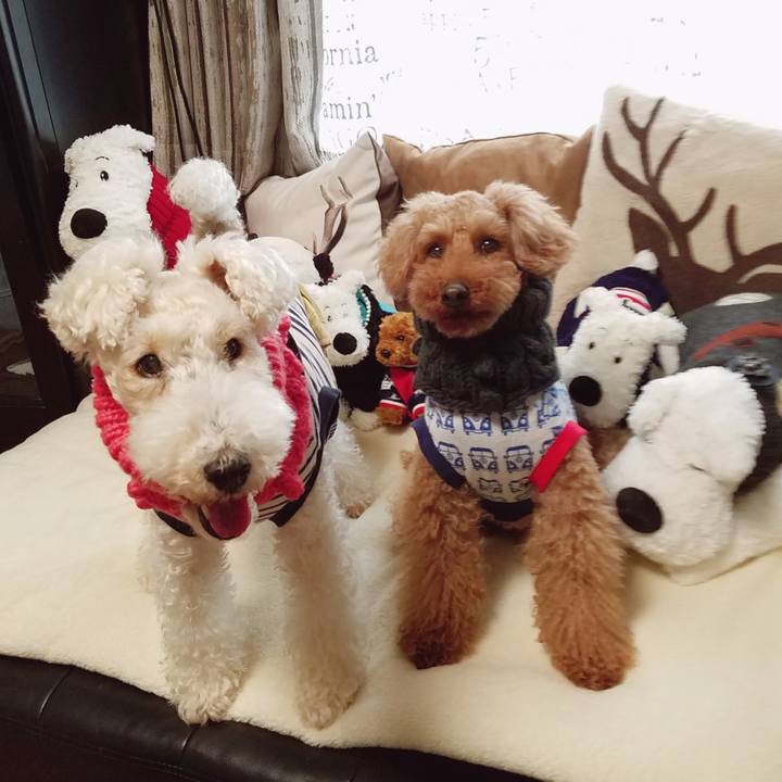 0f19d587 9d3f 4d1b 8bef 4a4ab0945e35 1549852627290