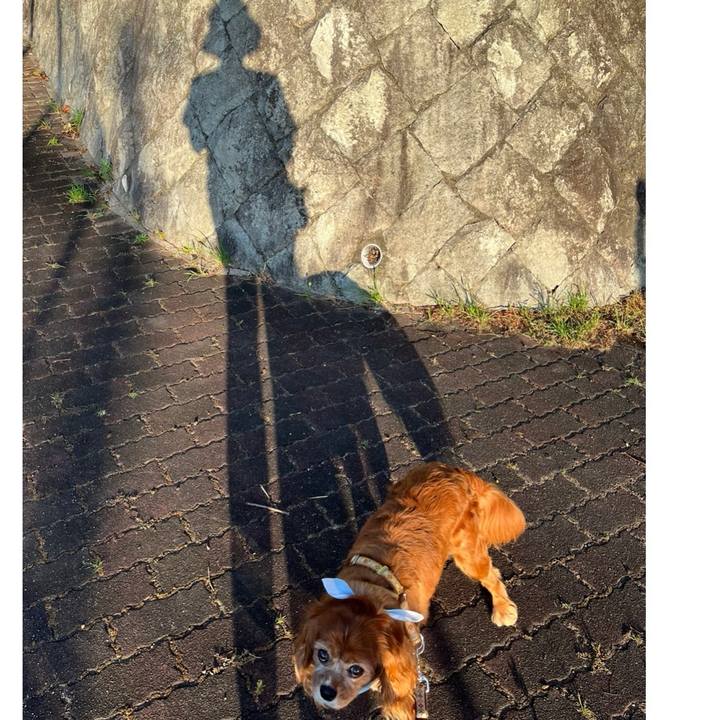 0f19edfb 7e5f 4733 b726 4a3cd969f23d 1723939286033