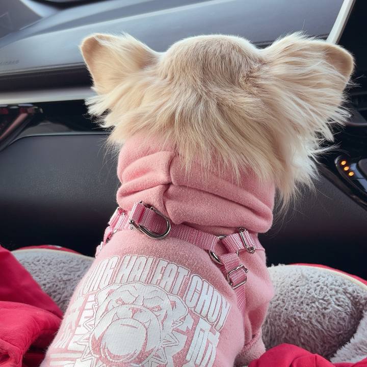 0f19f669 1399 41e0 b041 6037d3393717 1735522161989