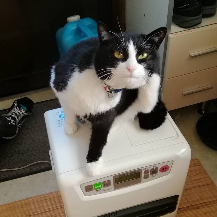 0f1a11ed bd12 474b a99f 5359e80e5610 1618457155980