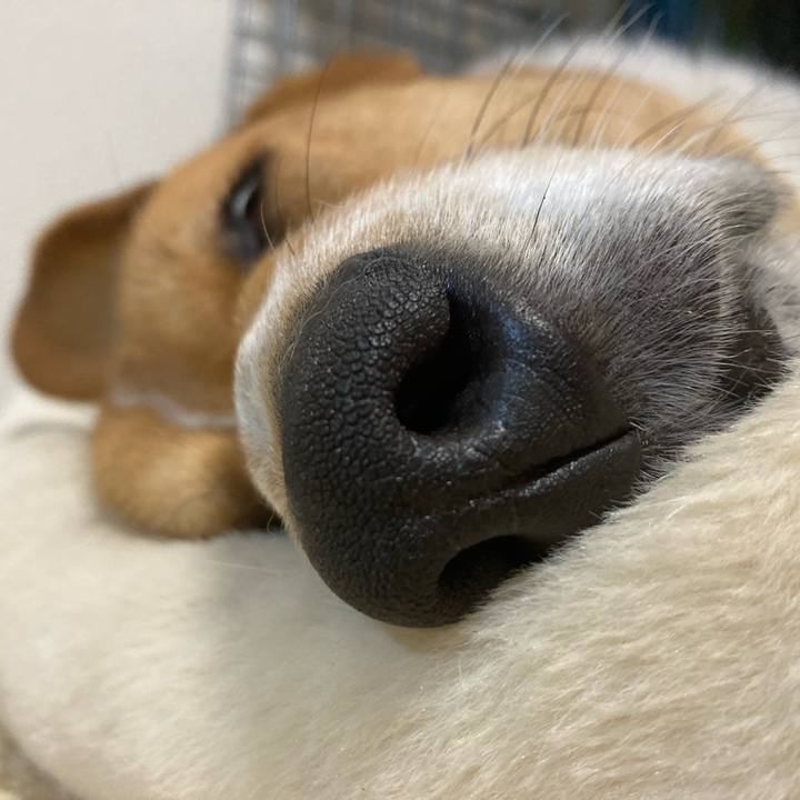 0f1a2dfd 55e5 40be 9d9a d202445cb28c 1710551372087