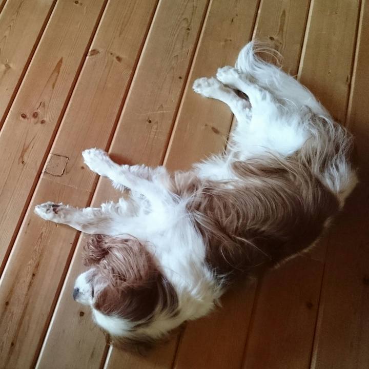 0f1a5d59 fefb 4ec8 86a3 d5e2e5ce69b9 1565565776066