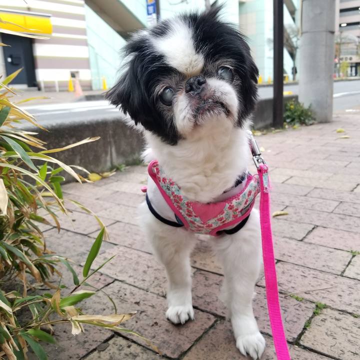 0f1a6f0f e88b 4cfe 8b91 bcc6e6eba2e0 1617360703013