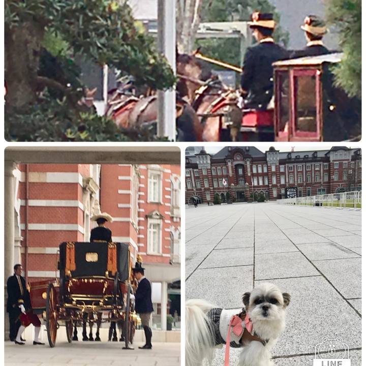 0f1abe8b 11a7 410b acc3 d492b7453461 1545806712757