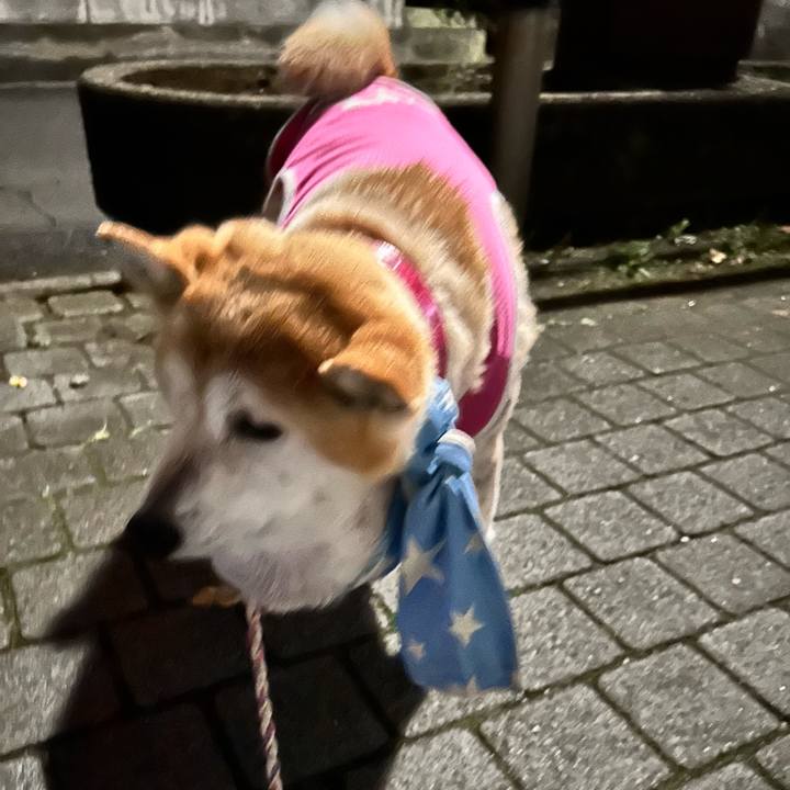 0f1b31b5 1fde 45e2 afa8 a9fa080e442d 1761561535056