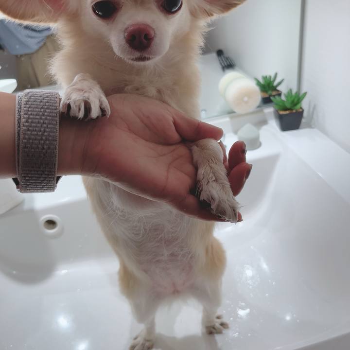 0f1b363a 3ca1 4a5f bd87 13fc55f5a2a6 1690198576043