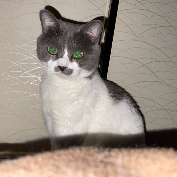 0f1b5da7 d786 4b8f b53c 635051d29613 1658488363108