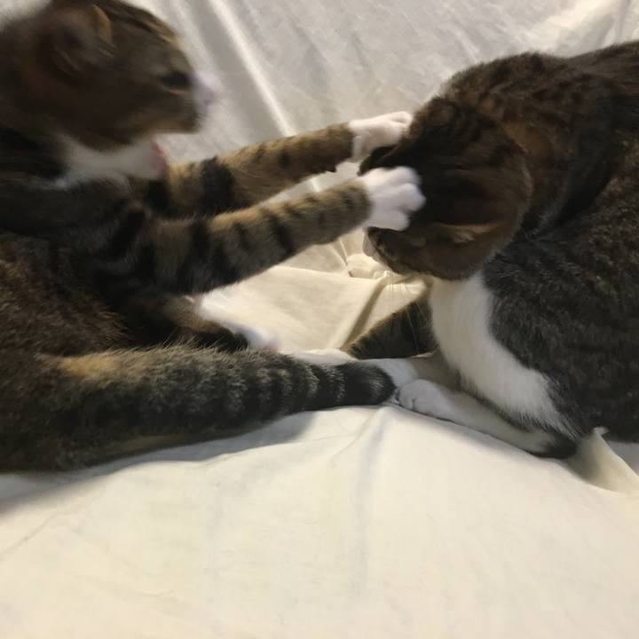 0f1b7dfb 7d6c 4bc3 b2a2 fe9bbd9d195b 1682645988763