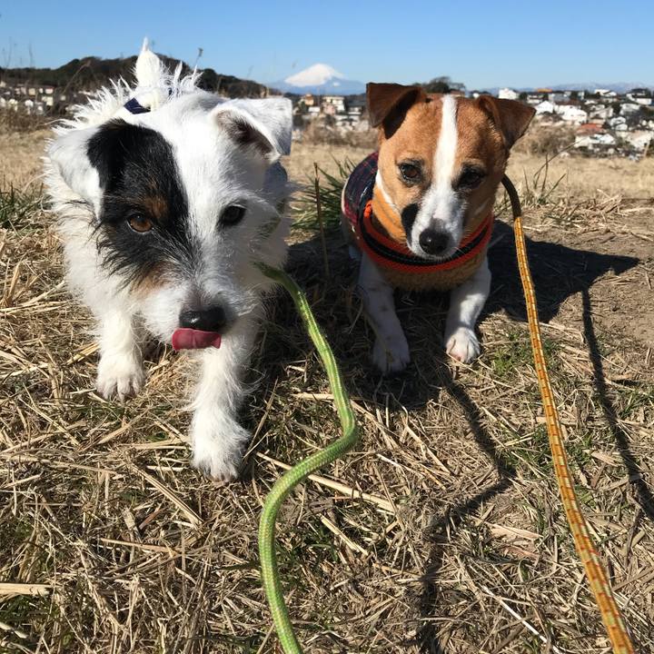 0f1b95e8 4763 4feb 8c96 7e1d484aee87 1517880390323