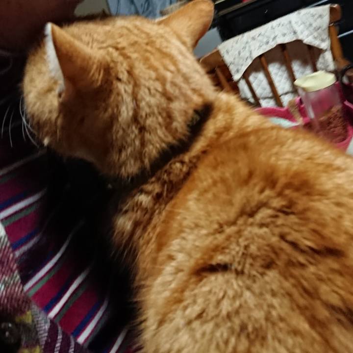 0f1bc278 027f 4bfc 8b96 bc0d2d9c6de8 1581278837006