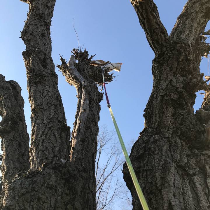 0f1bdb28 32e8 4a65 b237 2d3edf1f9b91 1520060903413