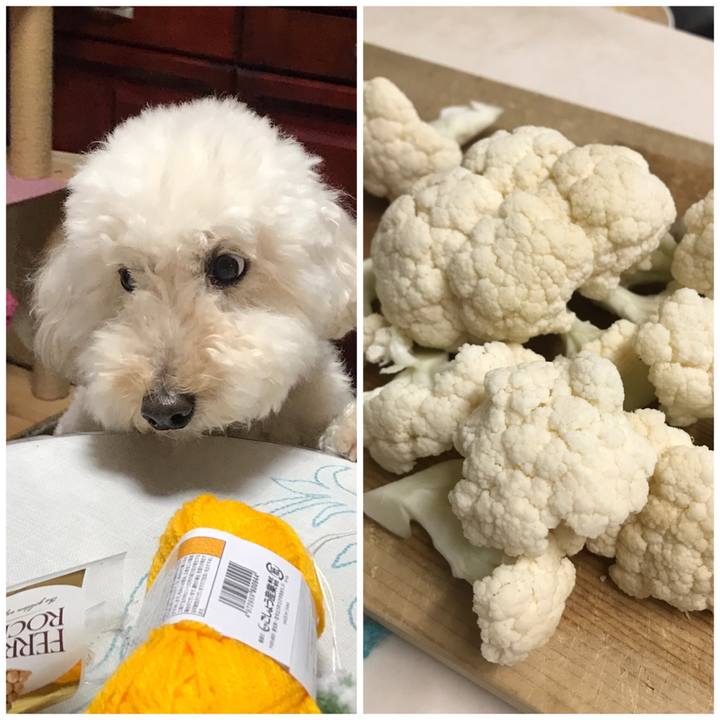 0f1becf4 ac44 4be4 aa65 565b380ecb6c 1648546936069