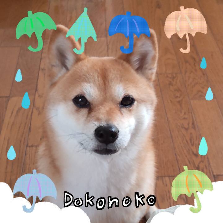 0f1c1bbd aca1 4b03 9248 5297c6552a9f 1717741153341