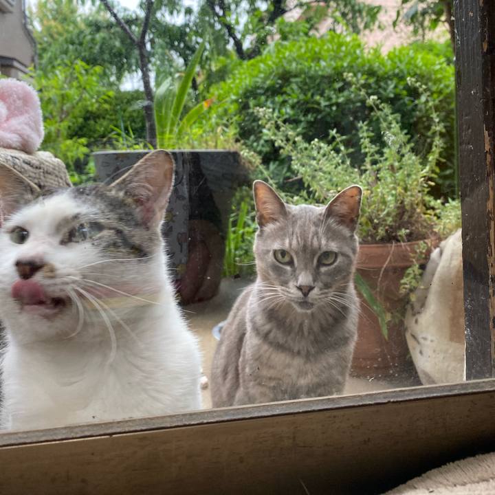 0f1c44a2 80aa 4071 96fe f8b6246333ad 1592125170576