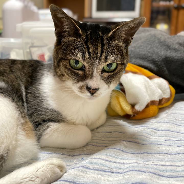 0f1c44c9 3efc 448c 85cf d3a431e7337d 1656984440170