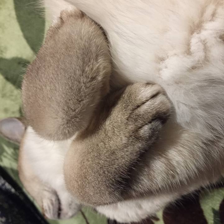 0f1c5824 2447 493a 9afe c6fc64068c1a 1582371230603