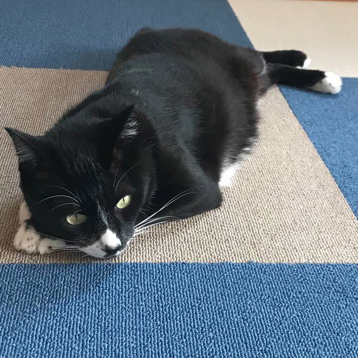 0f1c78dc 8c4a 4714 82db b40e4ab267e9 1669779437808