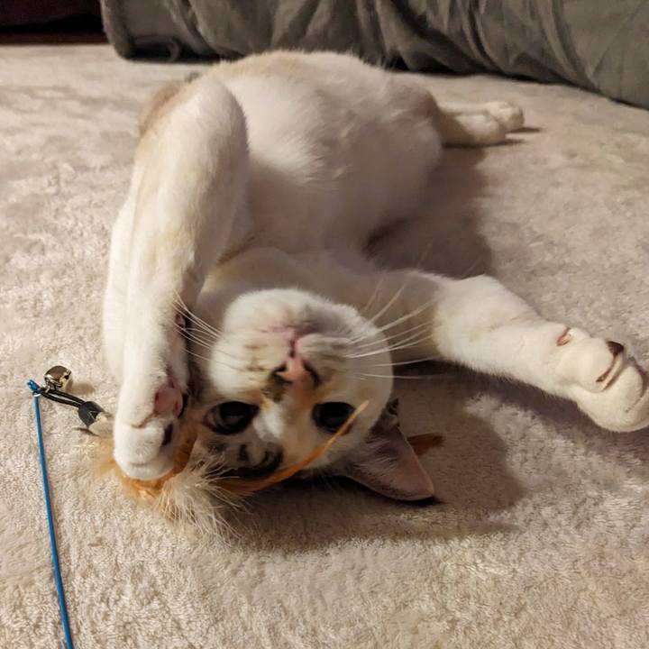 0f1c7c71 c553 4114 8e76 738b93a3aa5f 1711630907785