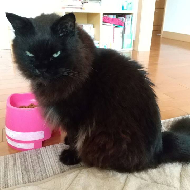 0f1cb2fe 8c86 480d 8177 6158d6651e56 1651192263470