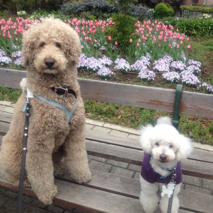 0f1cb7b0 6126 4e2f 9abe ecc68ecef49f 1520414932721