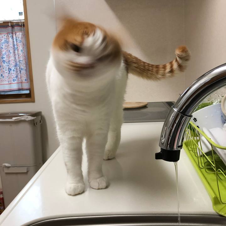 0f1cc13c cc09 4786 b5e5 ec3caf7f6d54 1546467377464