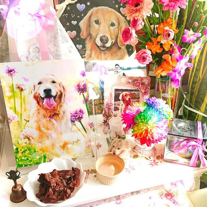 0f1ccc38 7ec1 4aa2 aaf6 24d9fd9a85f4 1583060317671