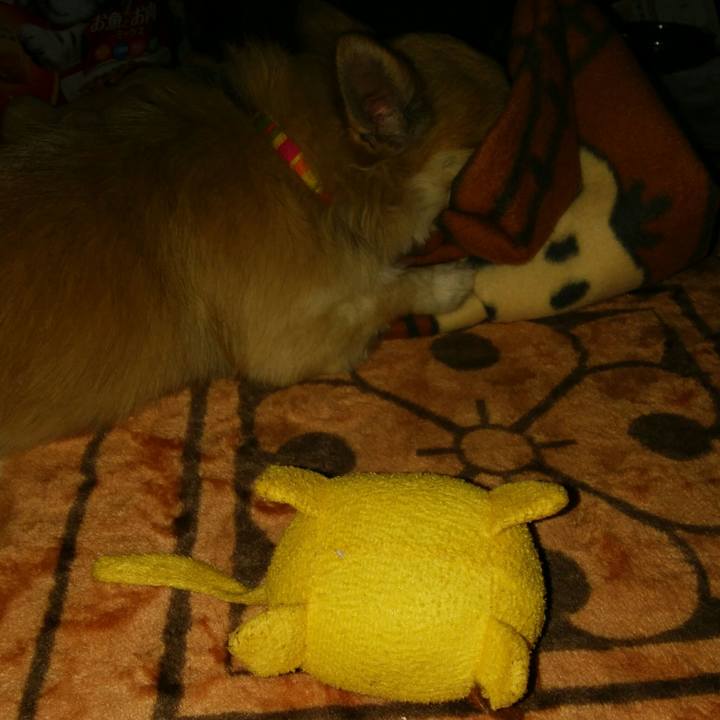 0f1ce170 e12f 4171 b9c7 11ee66d38401 1513405281095