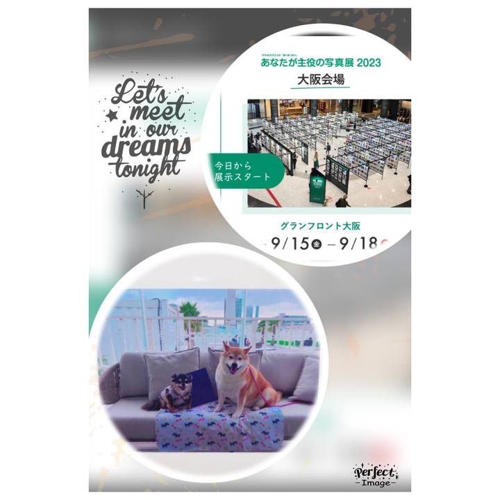 0f1cee77 5a7e 48f8 a136 b23b5de69c56 1694958114315