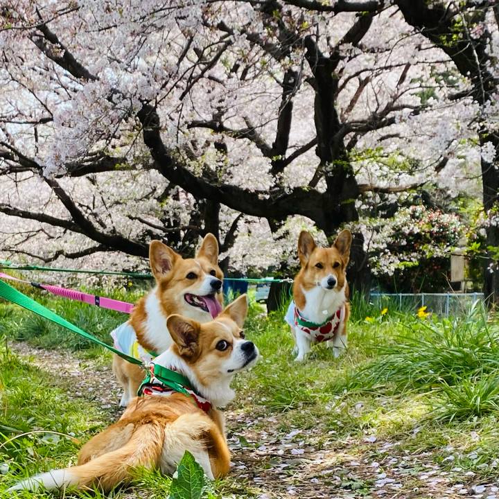 0f1d0f77 ac29 4527 a5f3 e0f181d47e86 1617252711215