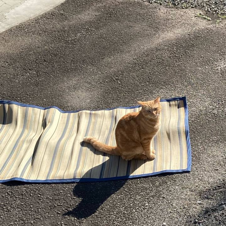 0f1d2627 13ce 42c5 8245 a8e21af7caec 1764469861580