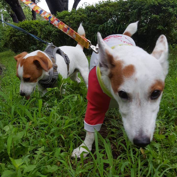 0f1d8124 e44a 40eb 8e2b a46aa7ca191b 1563162446022