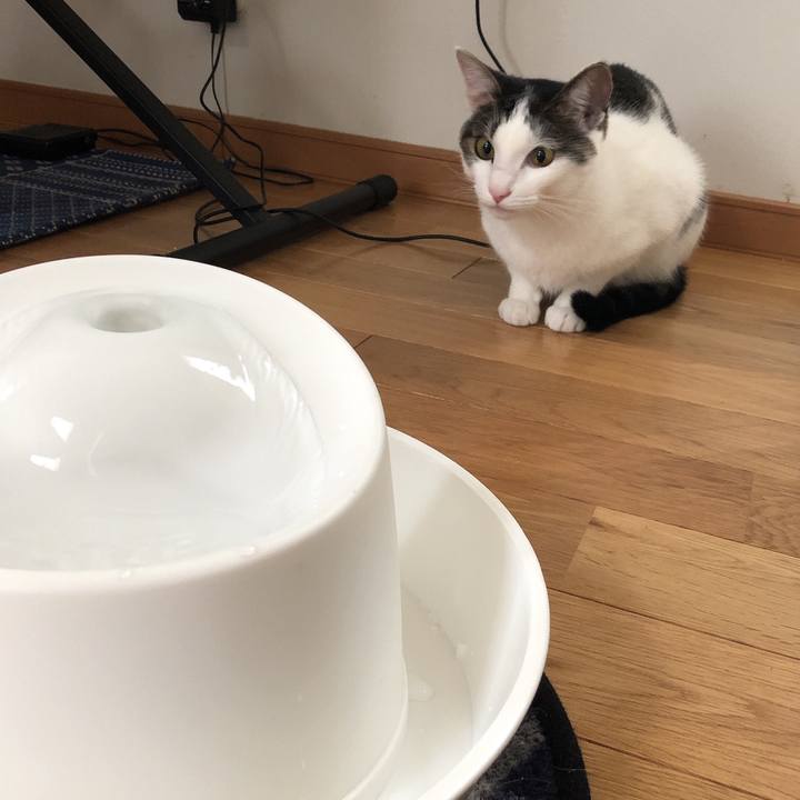 0f1db5d0 5996 4983 b526 1f6af4e5dc42 1595836089171