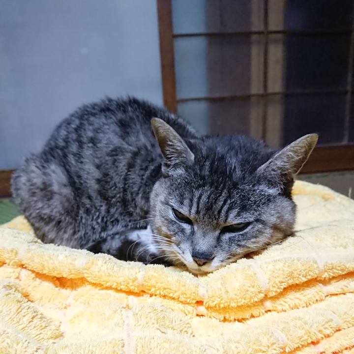 0f1dcc16 cecb 414d 9c55 aff54ff3598f 1589451409133