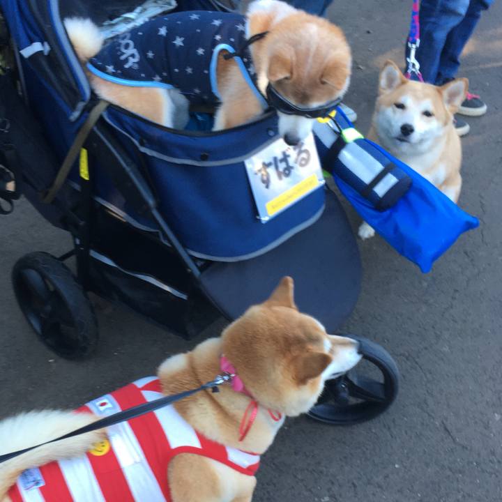 0f1dcdad 9735 45a1 993e ca5329b808c1 1573915445285