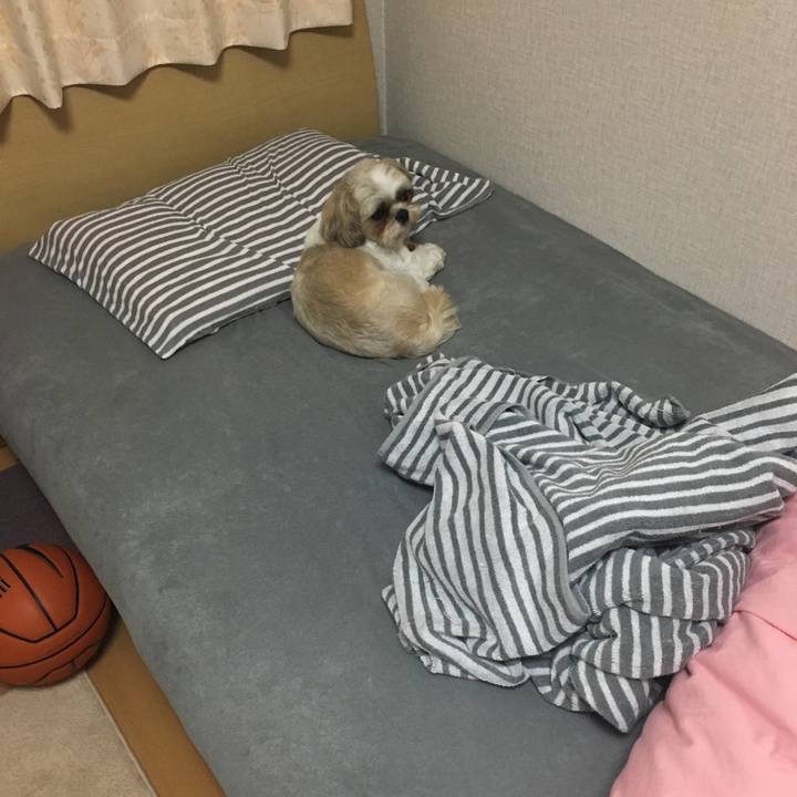 0f1de0d5 ce0a 4597 aa6b 923dbd950c2f 1526192167529