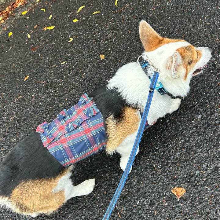 0f1e04f4 3309 46a7 86d2 7a5e65c81c75 1772511501266