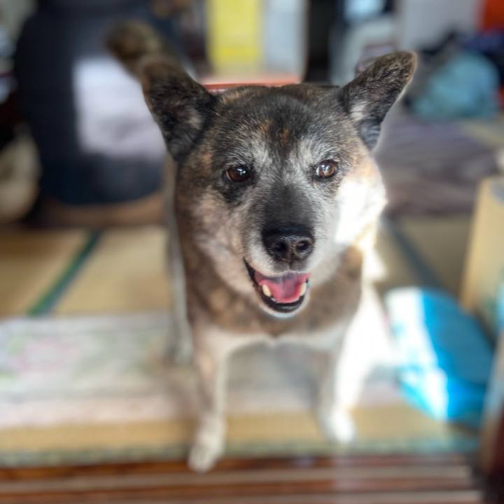 0f1e12cb 7548 4b01 9118 738fecbafa41 1669625480256