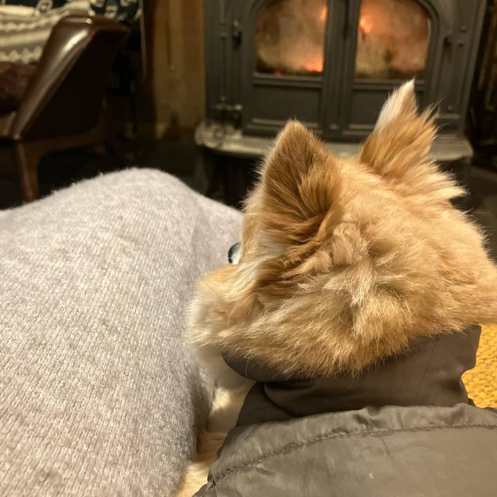 0f1e20cf 5a62 4a6c a5de c9e4a6fafb8f 1766957634523