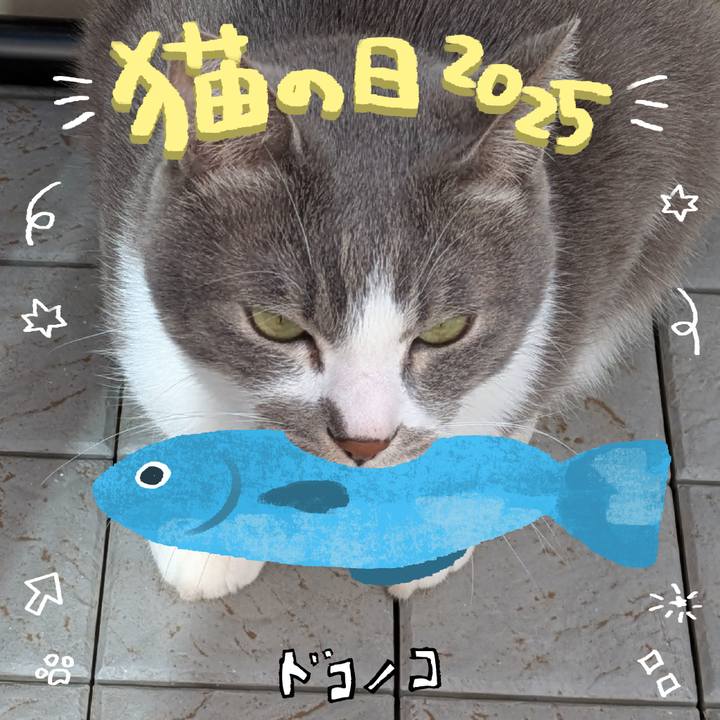 0f1e2106 cb85 4f03 90f8 5f8bced7f122 1740114027371