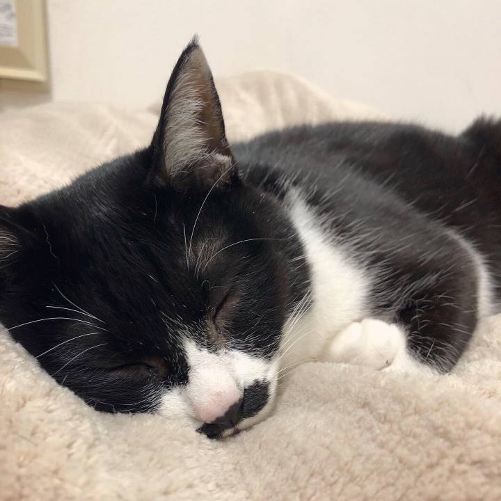 0f1e2b98 9200 4cdd a67d 2a20bf6a28fb 1582124263853