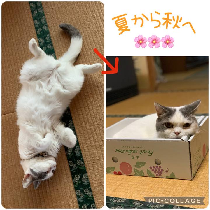 0f1e33db 7877 46f2 81cb 5db7189cac3f 1727610829703