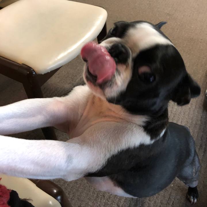 0f1e434d cc9f 44a4 a808 da8dfd435651 1549688825809