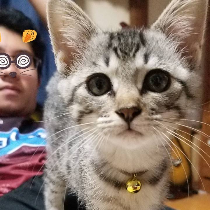 0f1e82c1 ba68 4d6e a1f1 f6a40422b2fb 1664548605572