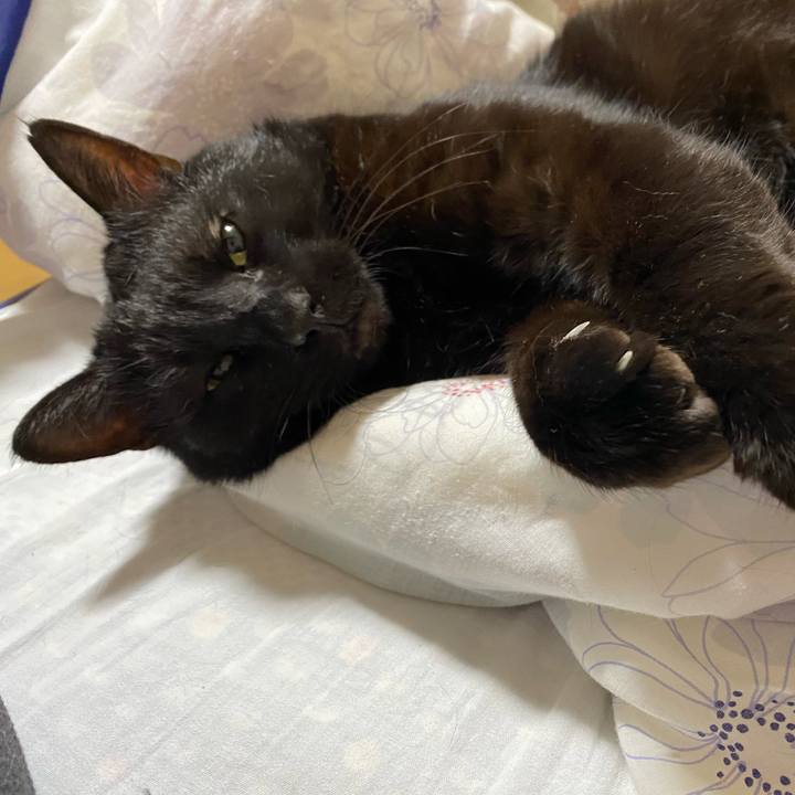 0f1edb17 ee52 4489 895d 94efdc1d8720 1679034837634