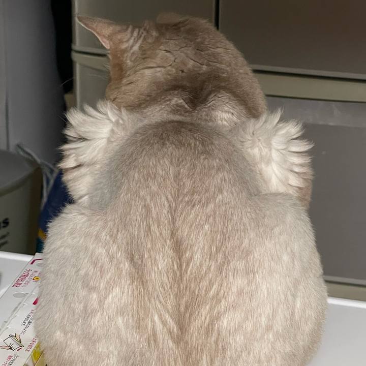 0f1ef2cd a900 4452 9f74 1d5cb810a042 1724854074845