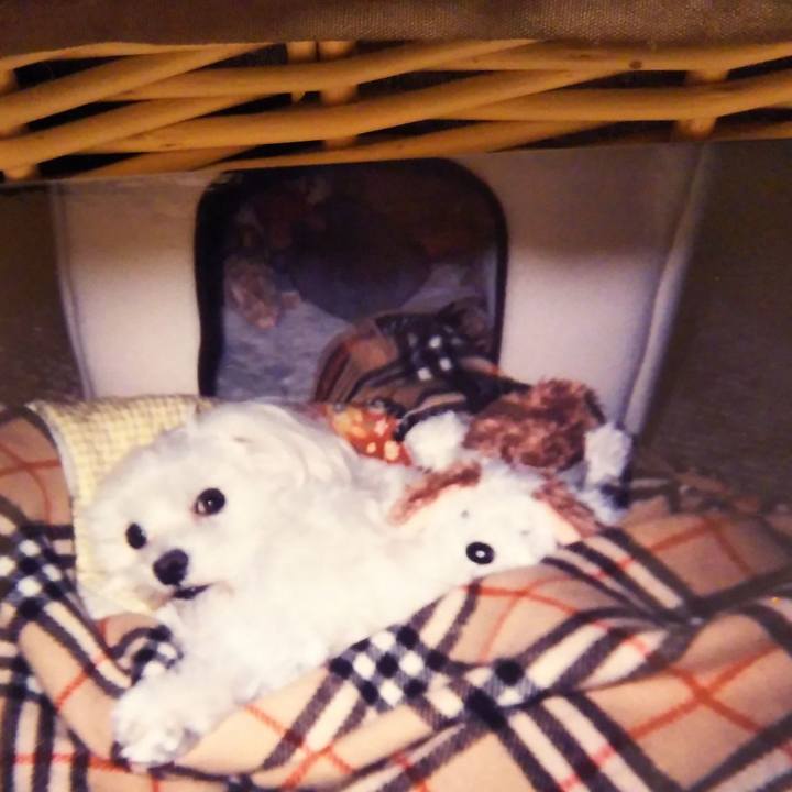 0f1efba8 3e61 46ba 84e9 9c4ed2d0f532 1540732618987