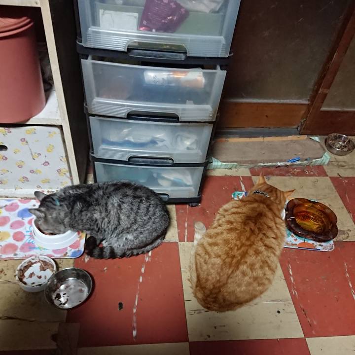 0f1f337e 4c65 4ecd a1bc 57eaf5f6c3c1 1575629951085