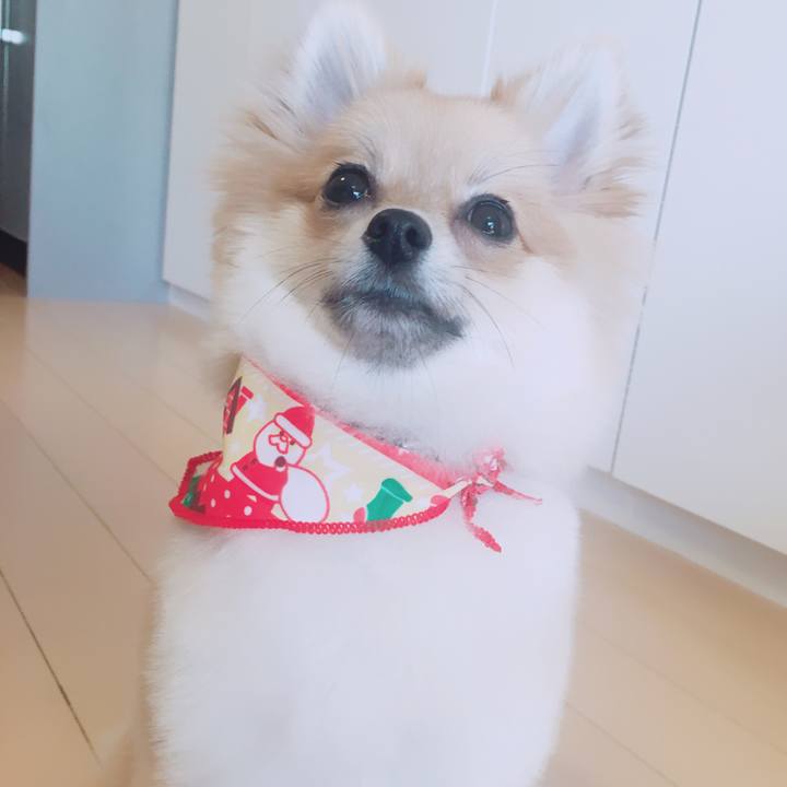 0f1f342d d81c 458d 9139 529a8cd0d737 1512877614756