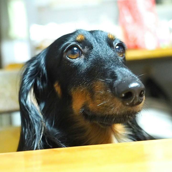 0f1f6a36 5493 4d3e 927f 85235a67b105 1511827658486